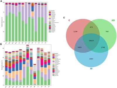 The composition and function of the gut microbiota of Francois’ langurs (Trachypithecus francoisi) depend on the environment and diet